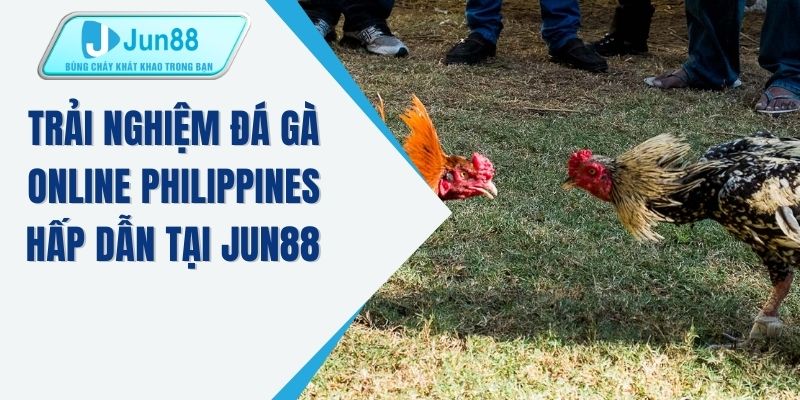 Trải nghiệm đá gà online Philippines hấp dẫn tại JUN88 
